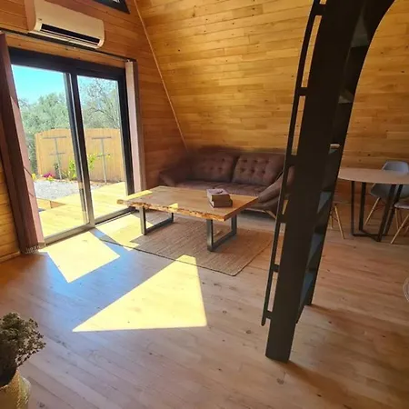 Ferienhaus Ugni Blanc Uzum Baglari Ve Zeytinlikler Icinde Mini Bir Cennet Ve Tiny House Konseptli Havuzlu Ucgen Ev - крошечный дом - скрытый рай