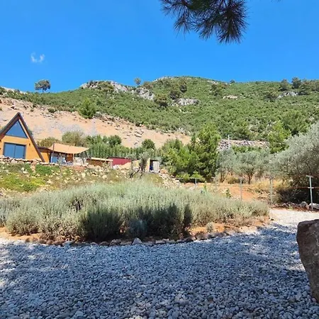 Ugni Blanc Uzum Baglari Ve Zeytinlikler Icinde Mini Bir Cennet Ve Tiny House Konseptli Havuzlu Ucgen Ev - крошечный дом - скрытый рай * Fethiye